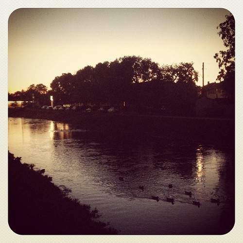 sunset silhouette square canal indianapolis ducks indiana squareformat broadripple earlybird project365 shuttersisters iphoneography september2013 instagramapp uploaded:by=instagram