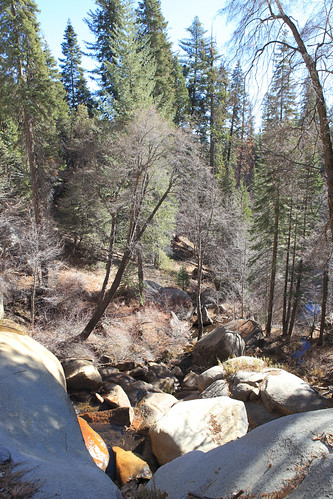 california ponderosa sequoianationalpark nobeyoungfalls