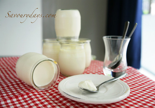 Cách làm sữa chua tại nhà - Những điều nên làm và nên tránh