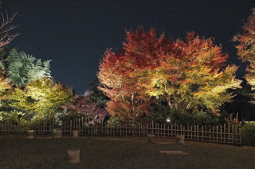 【写真】2013 紅葉 : 高台寺/2019-10-04/IMGP3867