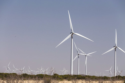 windmill energy texas power unitedstates wind alternativeenergy westtexas turbine windfarm abilene sustainable merkel windpower windenergy sustainableenergy windtubines