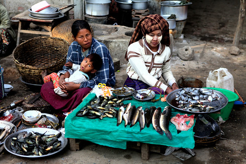 asia asien burma menschen fisch myanmar markt arbeit birma mandalay basar handel frauen mensch verkauf fischverkauf