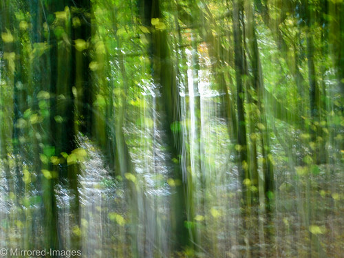 trees blur colour green leaves movement richmond northyorkshire icm riverswale intentionalcameramovement
