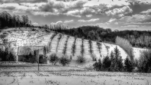 leelanau bw barn farm farmandorchard landscape monochrome noiretblanc outbuilding snow winter northport michigan unitedstates
