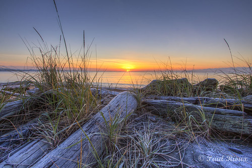 morning sun seascape canada cold ice beach sunrise frost bc waterfront britishcolumbia logs victoria calm vancouverisland driftwood icy westcoast seashore calmwater colwood westshore prioux