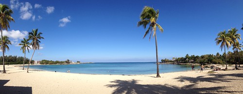 vacation holiday beach paradise havana cuba palmtree tropical caribbean playadeleste villabacuranao