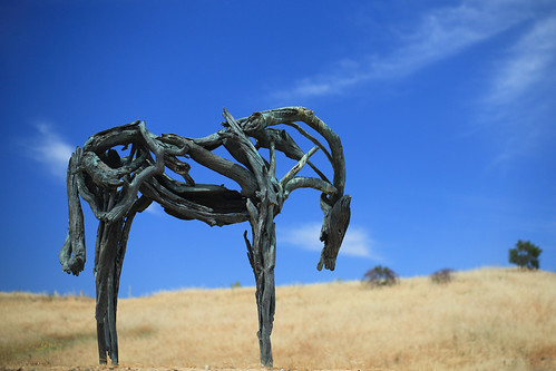 california sculpture horse bluesky mountainview sgi silicongraphics drygrass deborahbutterfield bronzecasting driftwoodhorse