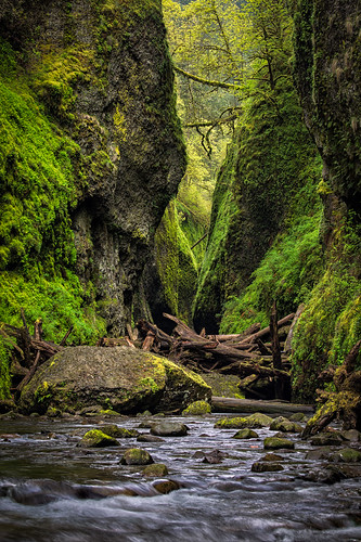 green nature oregon creek forest canon landscape outdoors photography moss spring northwest canyon pacificnorthwest gorge geology columbiagorge oneonta columbiarivergorge slotcanyon oneontagorge 2013 michaelriffle