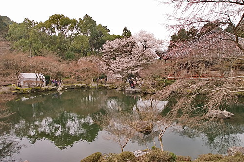 【写真】2013 桜 : 醍醐寺/2021-10-20/IMGP9079