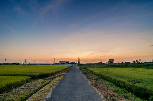 road camera travel sunset colors field japan nikon rice dusk path windy tokina chiba 日本 gaijin 旅行 manfrotto matsudo 夕焼け 千葉県 カメラ 風 米 外人 道 米田 外国人 1116mm d7000 松戸市