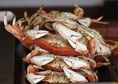 Crabs (AP Photo/Eric Risberg)