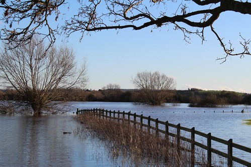 blue trees england sky southwest water fence river flooding europe flood branches south under somerset curry line east wetlands environment submerged bushes tone levels floods baltmore lyng burrowbridge rivertone parrett northcurry a361 eastlyng currymoor baltmoorwall cuttsroad