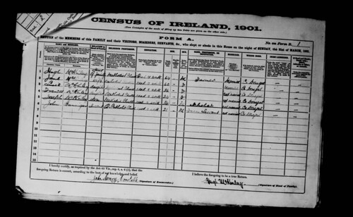 1901 Census Hugh McKinley