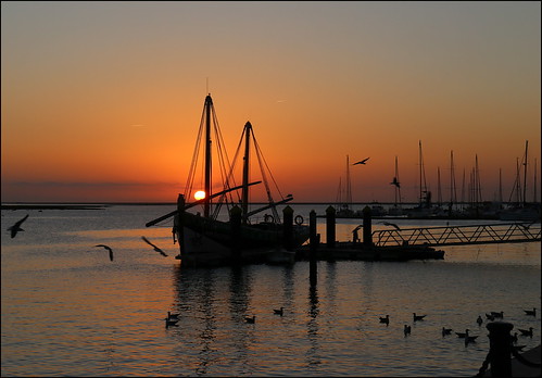 algarve olhão portugal boat sun sunset quay quayside silhouette bird