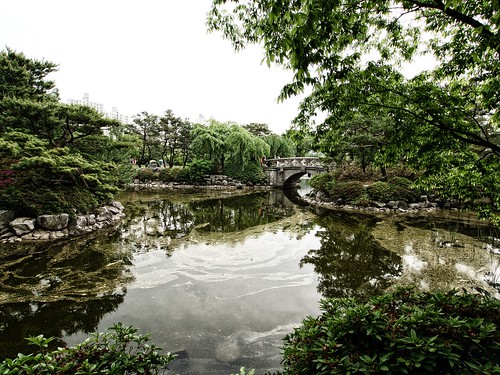 park bridge trees green pond asia centralpark korea southkorea bundang gyeonggido tumblr 한국 분당구 분당중앙공원