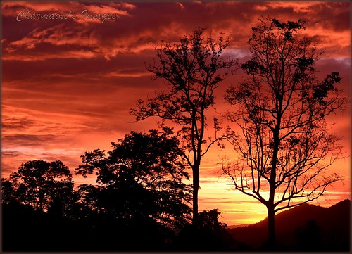 sunset silhouette thailand saraburi nikon5100 asiapacificuniversity muaklek