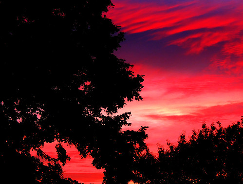 sunset red sun tree silhouette clouds redsky