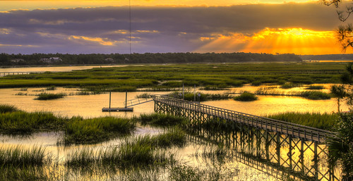 morning sunrise south mount carolina marsh pleasant