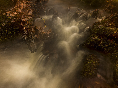 autumn water creek flow moss stream sweden stones autumnleaves icm halland mygearandme