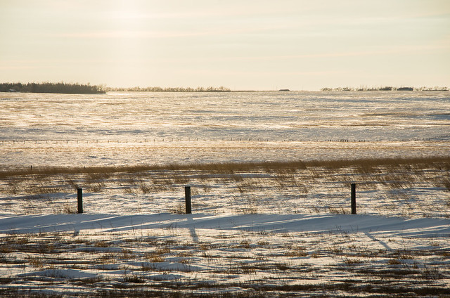 prairies in winter
