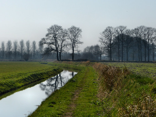 holland netherlands reflections landscape ditch nederland achterhoek landschap sloot gelderland bredevoort corle tklooster kloosterpad panasonicdmcfz150 1140277