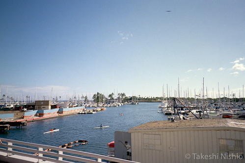 Ala Wai Boat Harbor