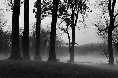 trees bw mist lake blancoynegro misty fog frozen blackwhite newjersey pond nikon essexcounty foggy nj verona ethereal frozenpond d600 veronapark sih creepytrees