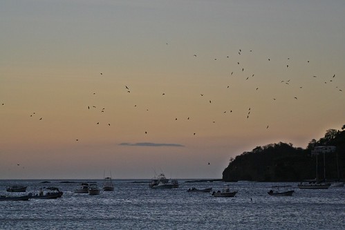 sunset water birds boats sundown pacificocean nicaragua seabirds centralamerica eveninglight gloaming sanjuandelsur centroamerica