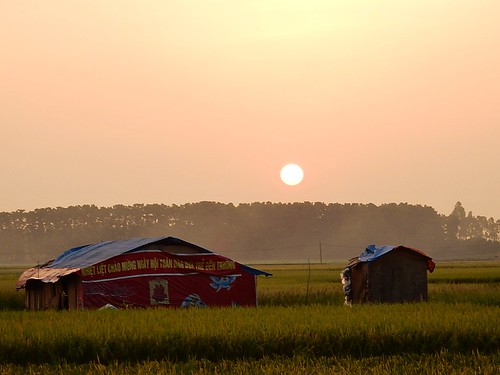 sunset rice banner orb sphere hanoi outskirts sheds