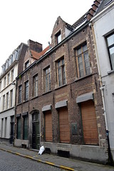 De Cleyn Lely, Antwerpen