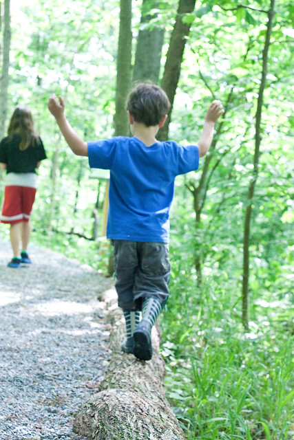 Follow a nature trail via The Risky Kids