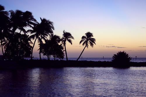 blue beach nature beauty silhouette sunrise palms island paradise unitedstates natural florida jetty shoreline bluesky keywest breeze atlanticocean southflorida swaying bluesea choppy smathersbeach blueparadise