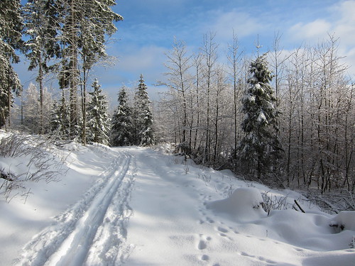 schnee winter snow ski germany deutschland harz hohegeiss langlauf niedersachsen lowersaxony ebersberg loipe crosscountryskitracks