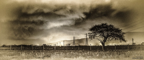travel sky cloud tree grass fence monsoon mumbai lonavala westernghats highwaynighttime