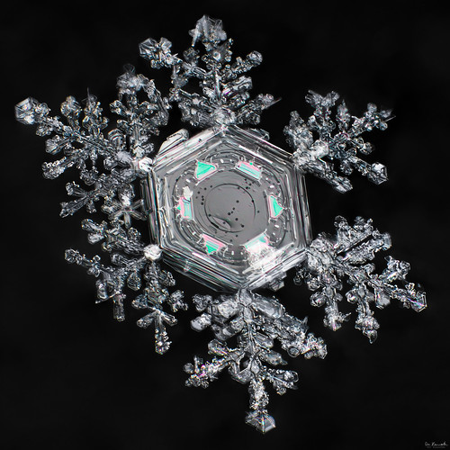snowflake winter snow cold colour macro ice nature water crystal flake fractal mpe thinfilminterference donkom