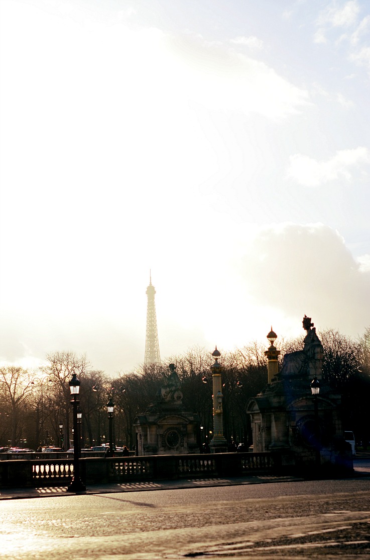 DSC_6520 Eiffel tower Paris
