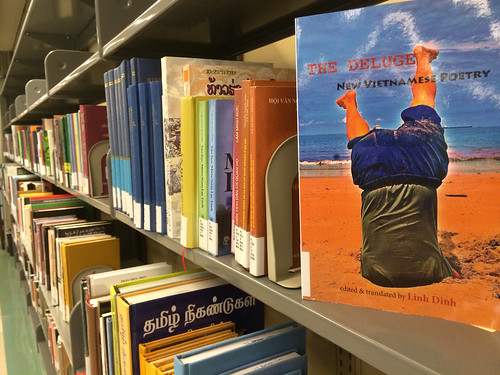 New books display in Moffitt Library