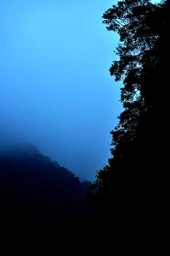 DSC_0031_031 Deep in the Fog