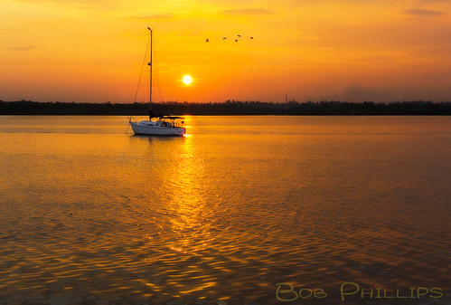usa gulfofmexico birds sailboat sunrise florida matlacha pineisland pineislandsound