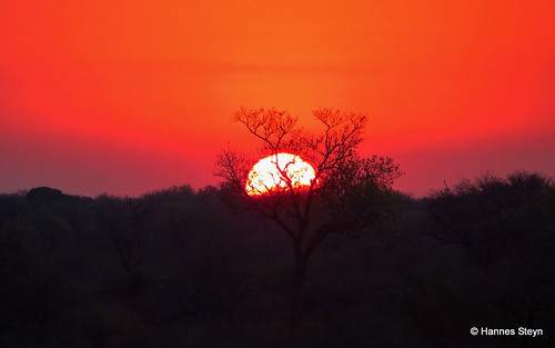 africa sunset red sky sun nature canon southafrica landscapes scenery dusk lodge mpumalanga ngwenya ngwenyalodge hannessteyn sx260hs canonpowershotsx260hs