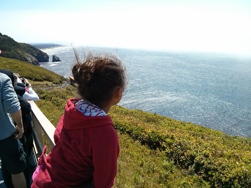 Day 8: Sea Lion Caves and Beachside State Park.