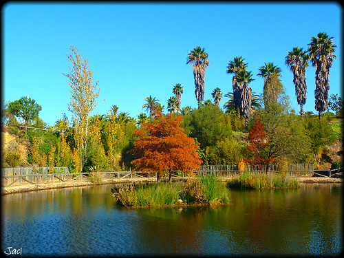 parque españa lago andalucía spain plantas huelva costadelaluz palosdelafrontera parquebotánico parquebotánicojosécelestinomutis