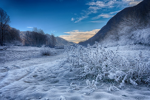 ice landscape frozen lands paesaggio freddi hoar scatti toce galaverna ossola vogogna
