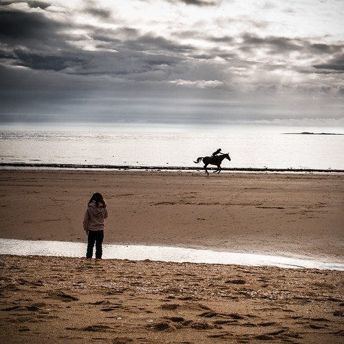 ocean sea horse mer france water square cheval sand eau sable fr carré keziah labaule loireatlantiquepaysdelaloire