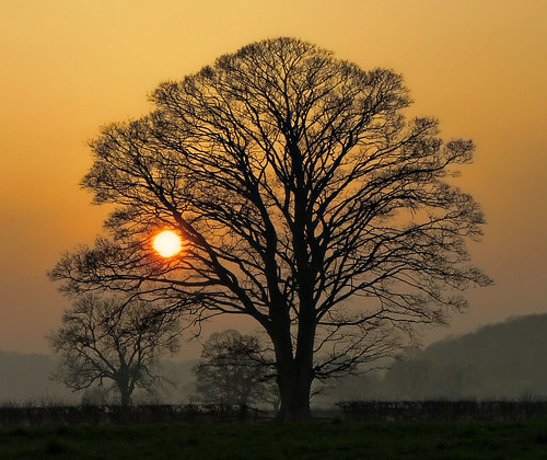 sunset sun mist tree evening countryside dusk lancashire grimsargh