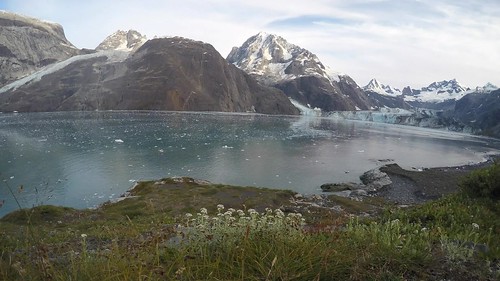 ice alaska bay nationalpark timelapse video glacier glacierbay glacierbaynationalpark