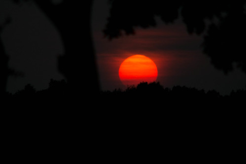trees sunset summer sky orange black long raw colours sweden july sverige 80200mm 2xteleconverter 2013 xpro1 blekingelän konicahexanonar kiponadapter