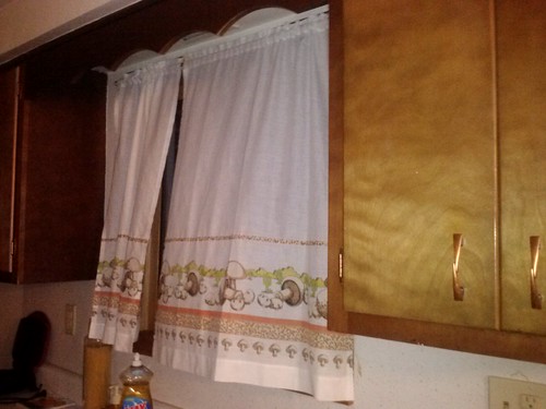 'shroom curtains