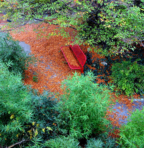 autumn red stone garden bench landscape ivy bamboo lucas architect fagus werft