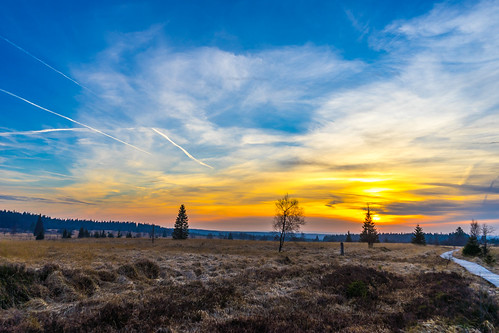 christmas winter sunset sky walking landscape nationalpark day belgium sony fens a7 uag liège lightroom giga ulg jalhay walloonregion pwpartlycloudy